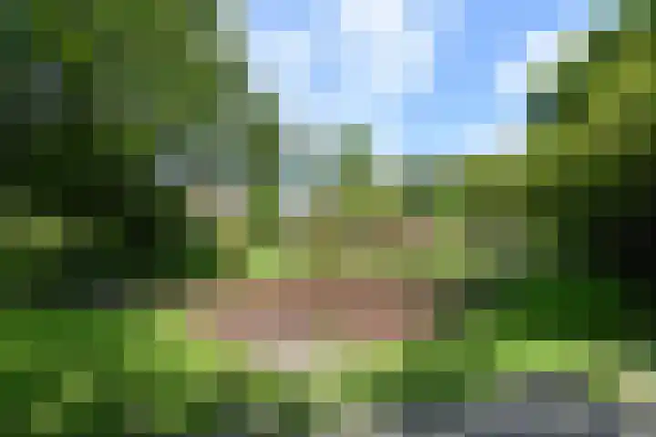 Da Costalaan 67 Rijswijk thumbnail 47