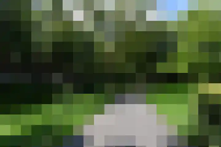 Da Costalaan 67 Rijswijk thumbnail 48