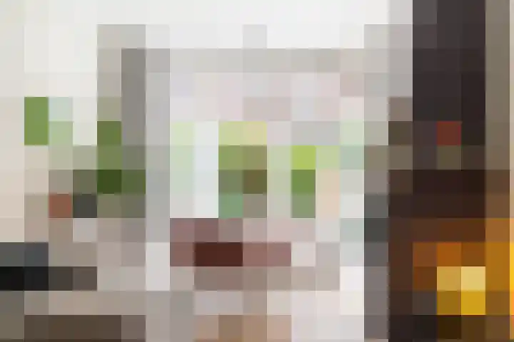 Da Costalaan 70 Rijswijk thumbnail 11