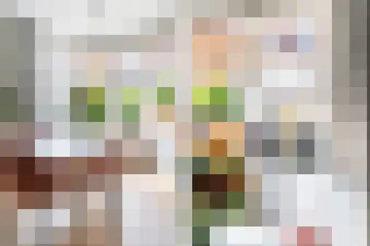 Da Costalaan 70 Rijswijk thumbnail 12