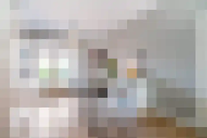 Da Costalaan 70 Rijswijk thumbnail 13