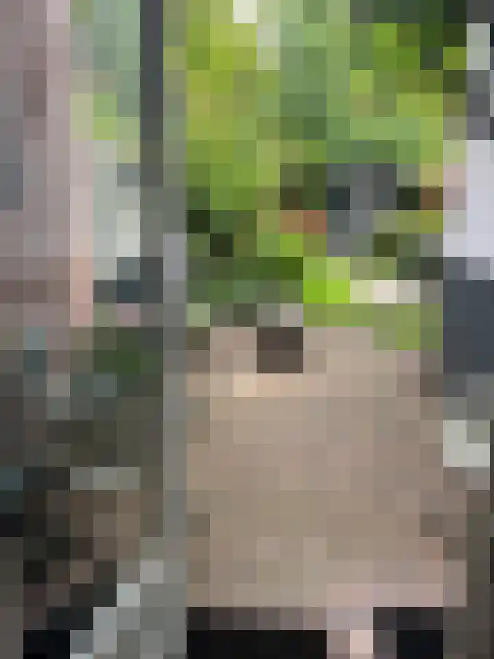 Da Costalaan 70 Rijswijk thumbnail 17