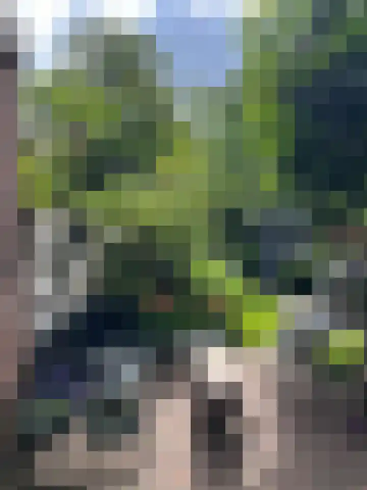 Da Costalaan 70 Rijswijk thumbnail 20