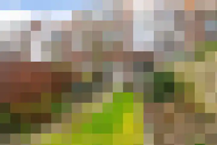 Da Costalaan 70 Rijswijk thumbnail 21