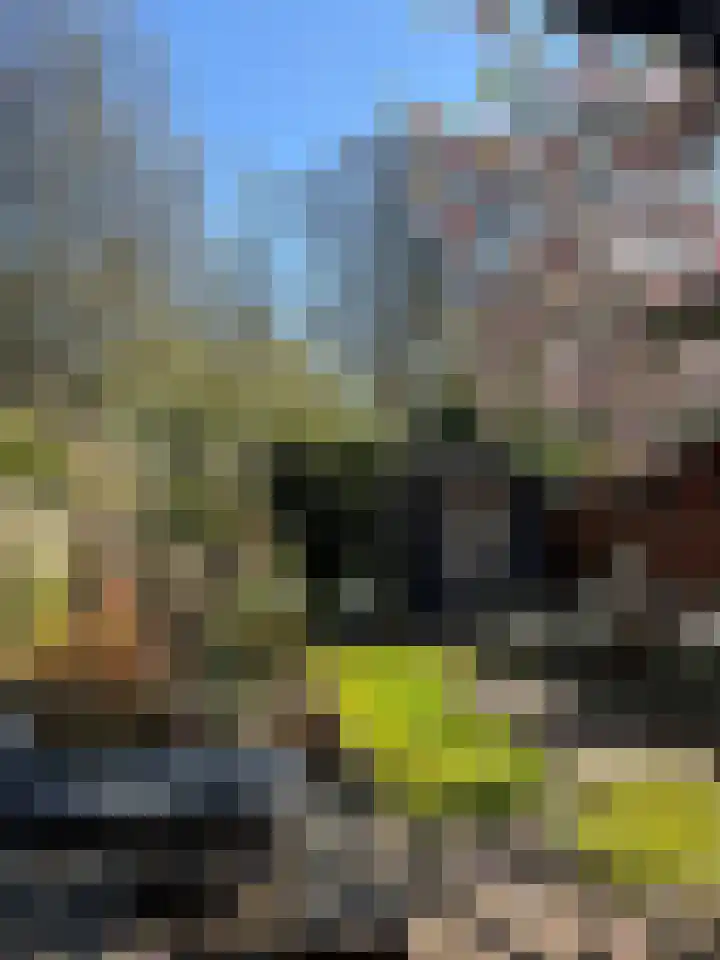 Da Costalaan 70 Rijswijk thumbnail 22