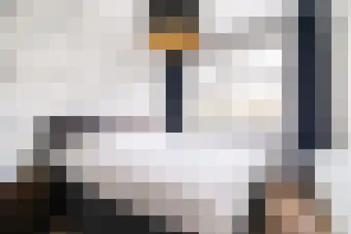 Da Costalaan 70 Rijswijk thumbnail 26
