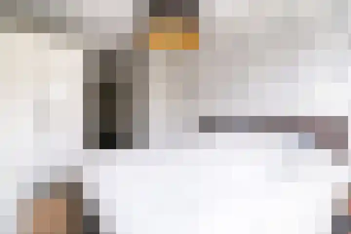 Da Costalaan 70 Rijswijk thumbnail 27