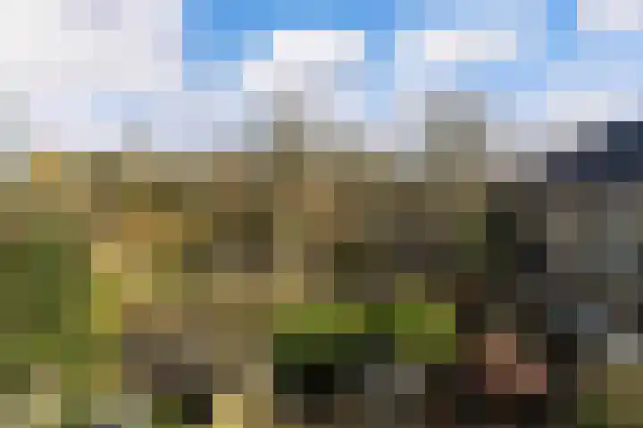 Da Costalaan 70 Rijswijk thumbnail 30