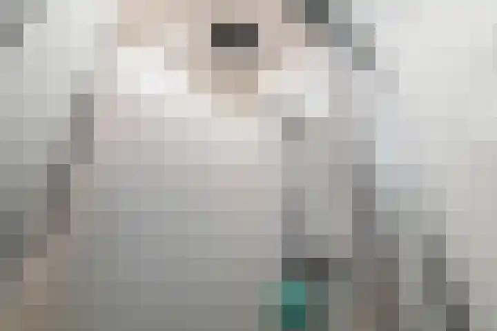 Da Costalaan 70 Rijswijk thumbnail 32