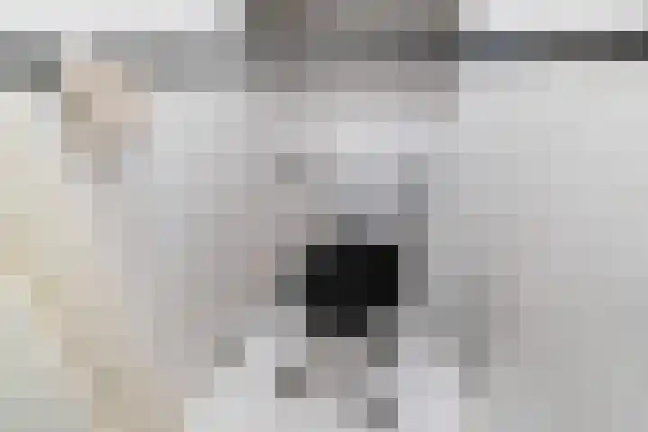Da Costalaan 70 Rijswijk thumbnail 34