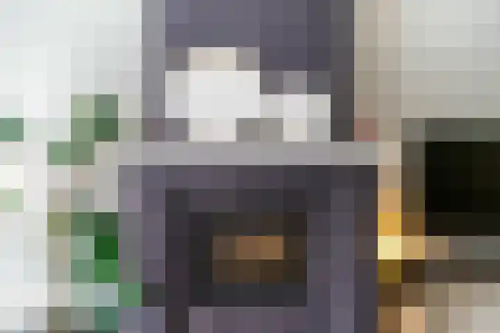 Da Costalaan 70 Rijswijk thumbnail 8