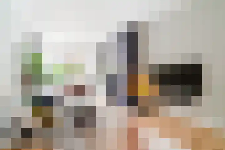 Da Costalaan 70 Rijswijk thumbnail 9