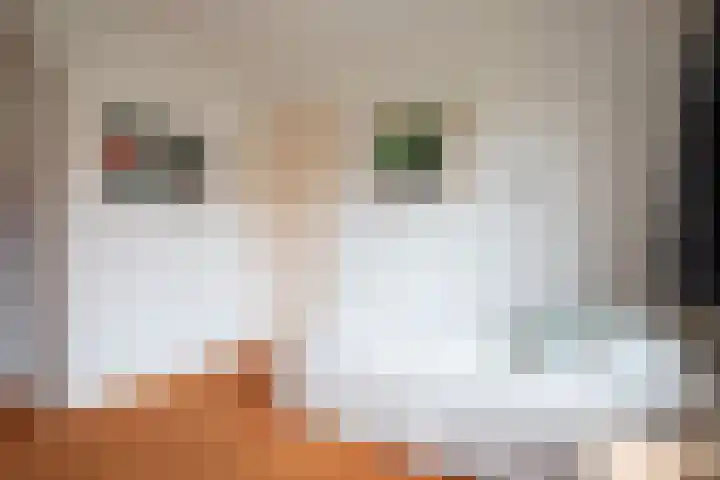 Da Costalaan 71 Amstelveen thumbnail 21