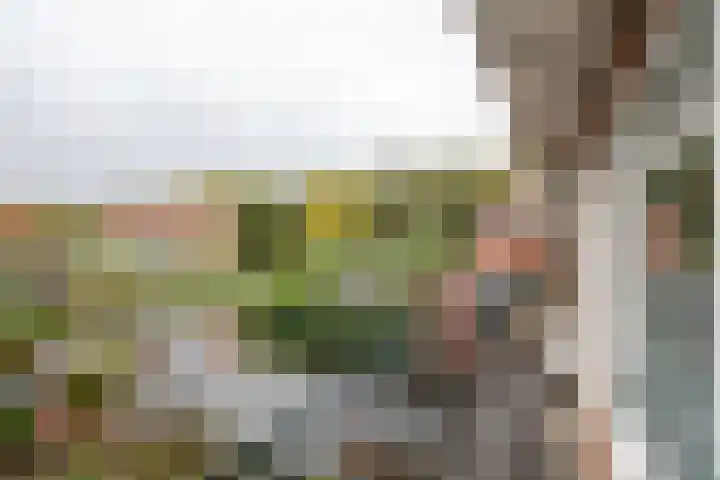 Da Costalaan 71 Amstelveen thumbnail 27