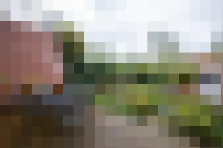 Da Costalaan 71 Amstelveen thumbnail 33