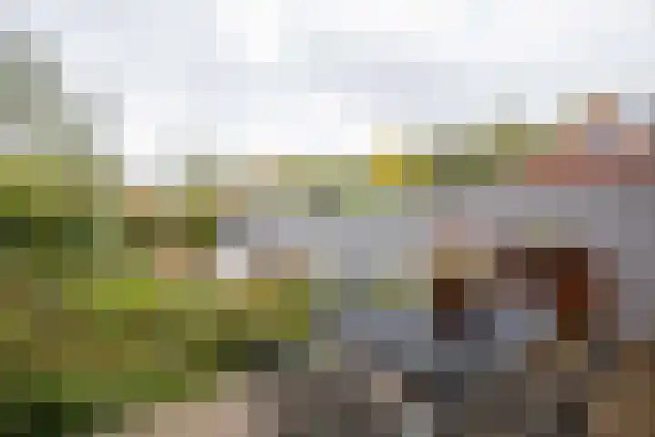 Da Costalaan 71 Amstelveen thumbnail 34