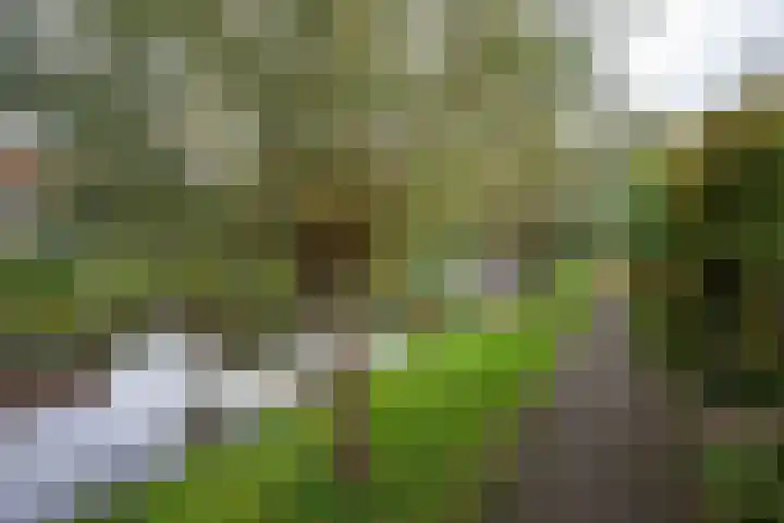 Da Costalaan 71 Amstelveen thumbnail 37