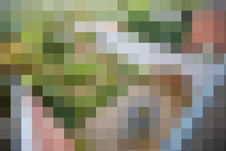 Da Costalaan 71 Amstelveen thumbnail 4