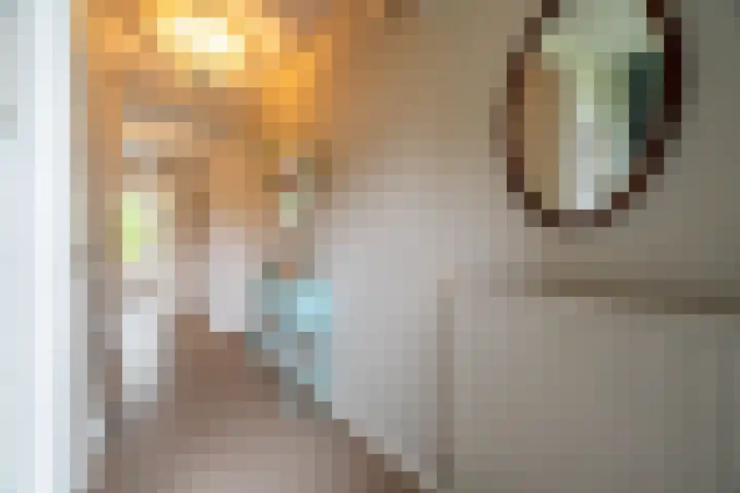Da Costalaan 8 Haren Gn thumbnail 15