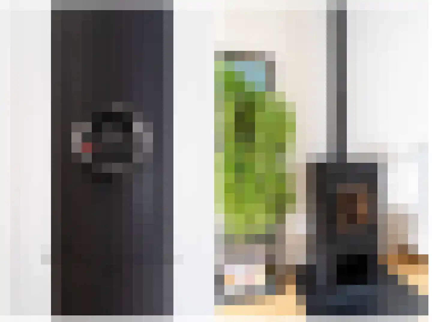Da Costalaan 8 Haren Gn thumbnail 23