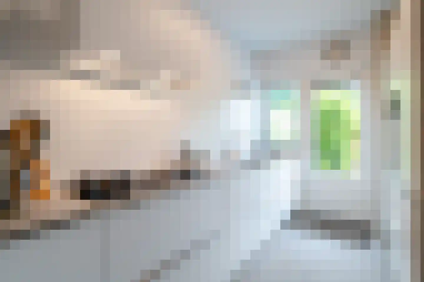 Da Costalaan 8 Haren Gn thumbnail 35