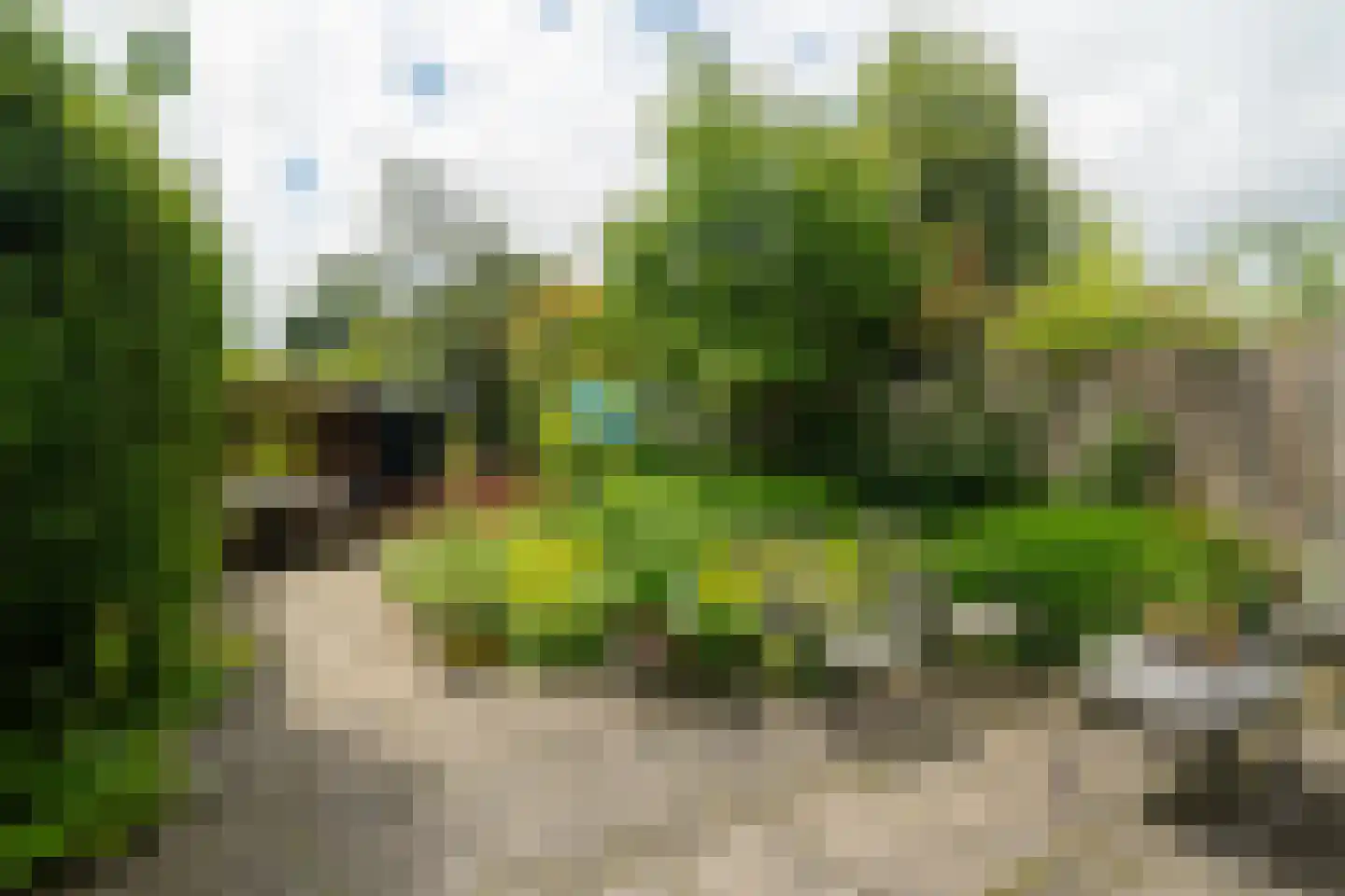 Da Costalaan 8 Haren Gn thumbnail 6