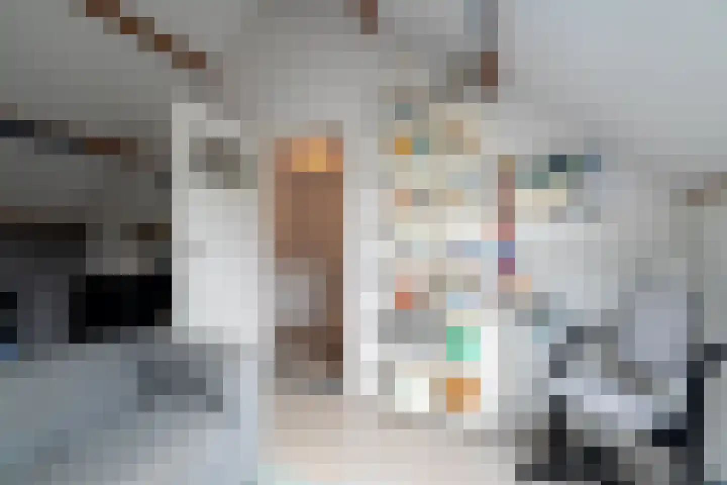 Da Costalaan 8 Haren Gn thumbnail 63