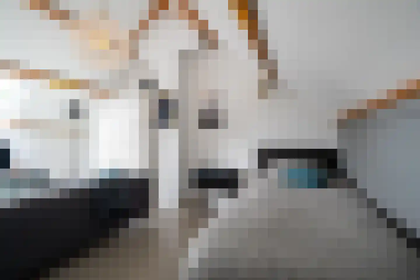 Da Costalaan 8 Haren Gn thumbnail 67