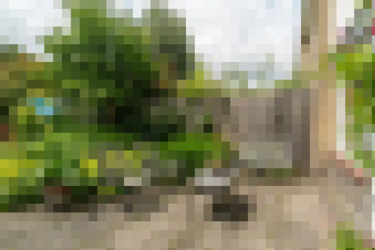 Da Costalaan 8 Haren Gn thumbnail 74