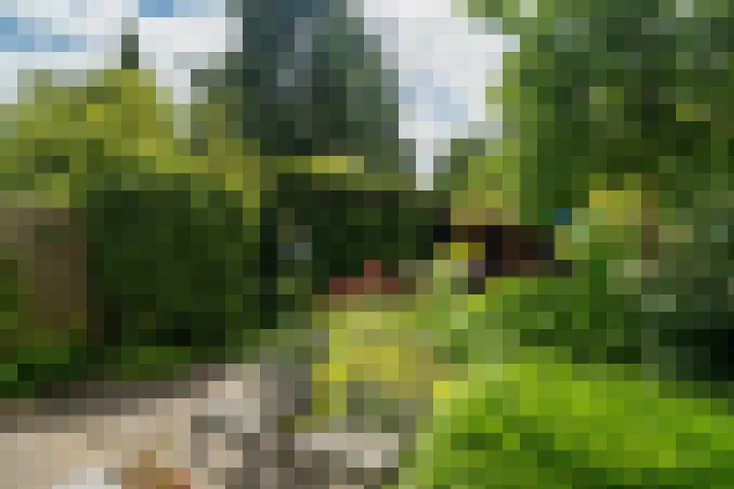 Da Costalaan 8 Haren Gn thumbnail 75