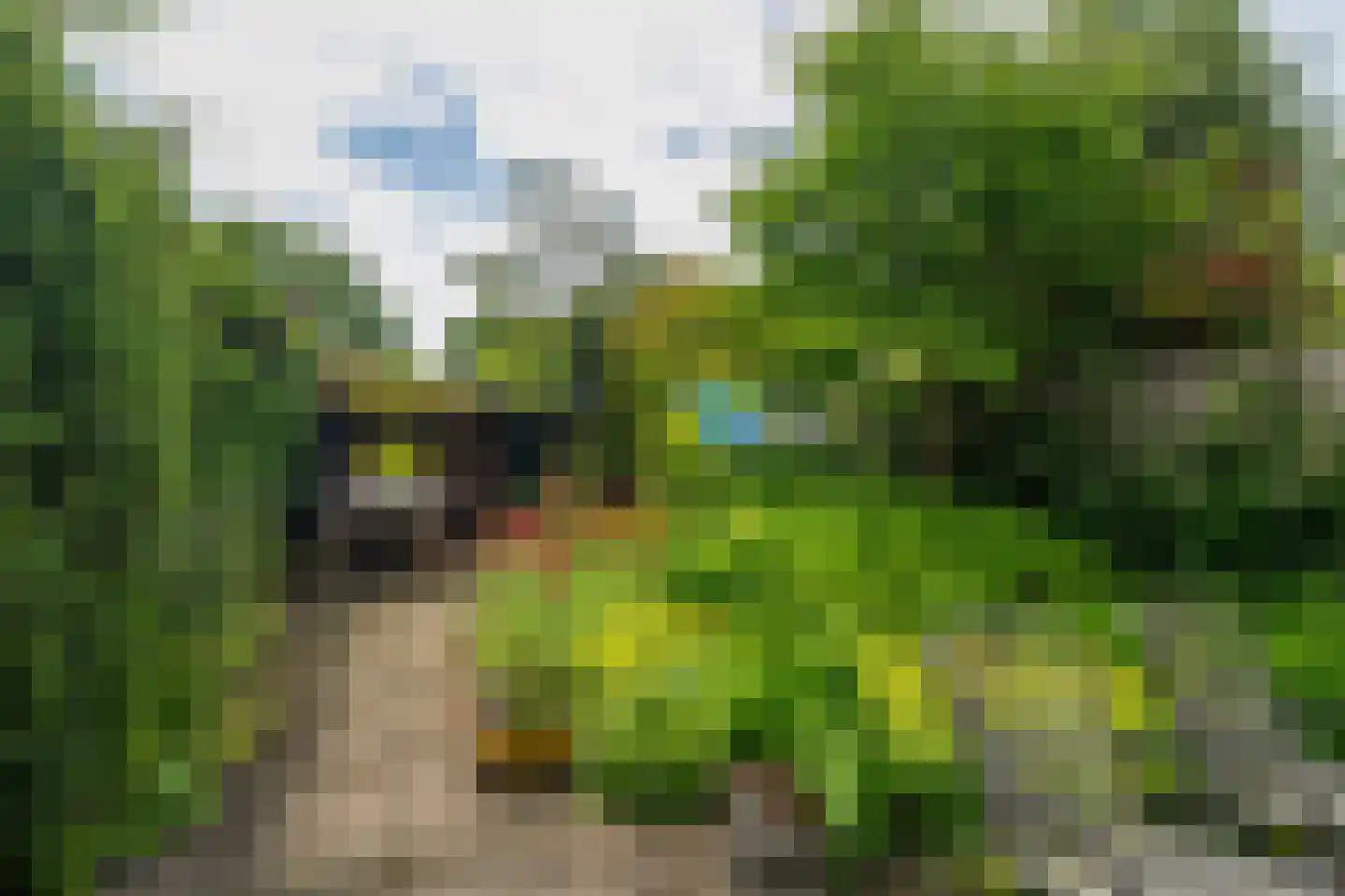 Da Costalaan 8 Haren Gn thumbnail 78