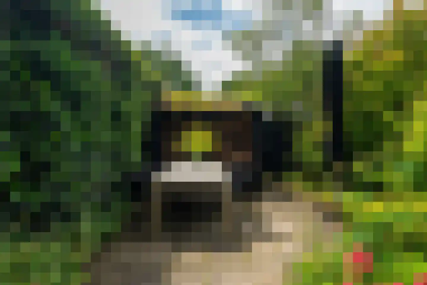 Da Costalaan 8 Haren Gn thumbnail 79