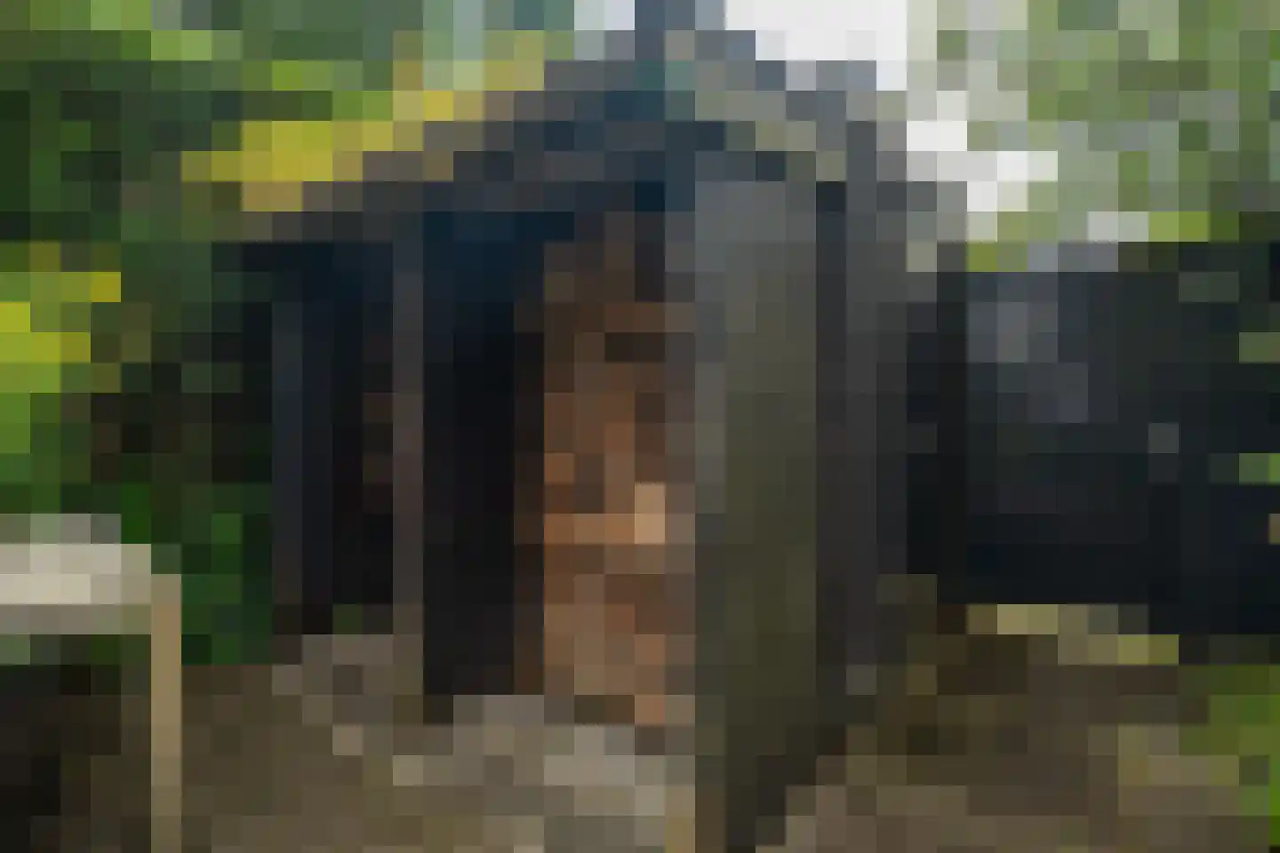 Da Costalaan 8 Haren Gn thumbnail 81