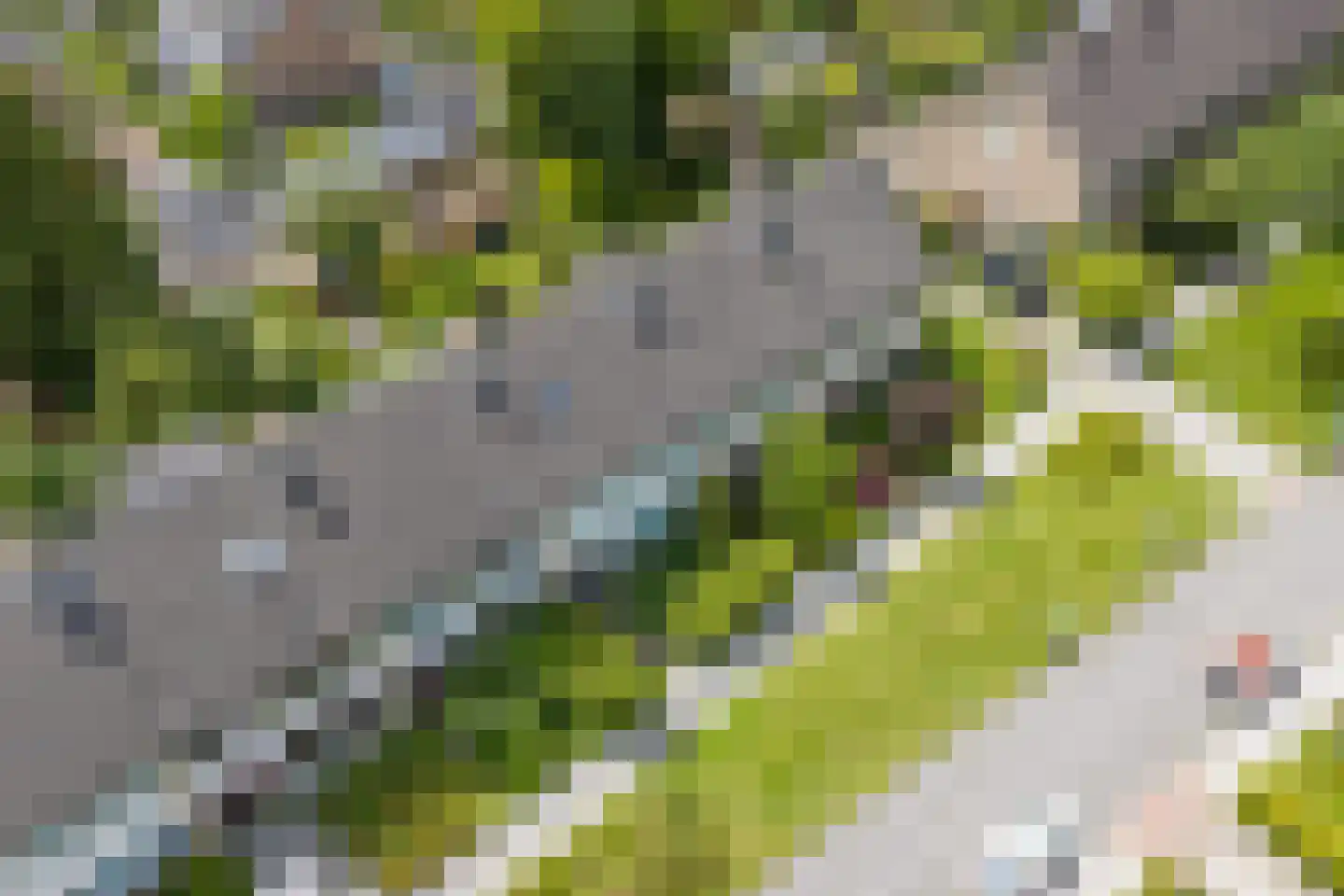 Da Costalaan 8 Haren Gn thumbnail 86