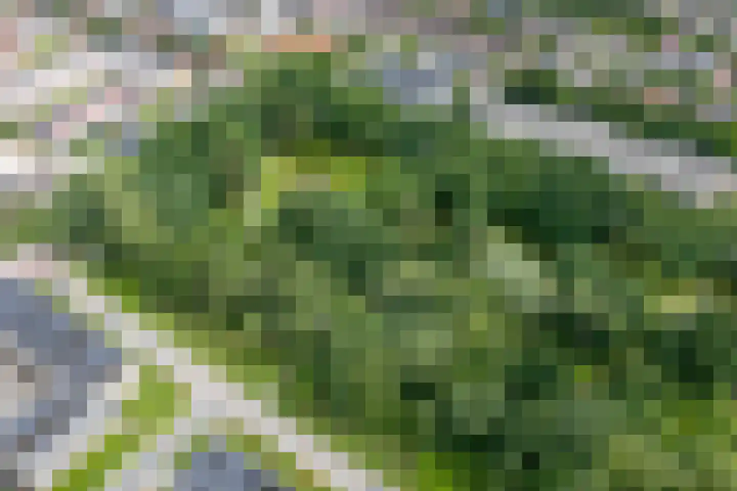 Da Costalaan 8 Haren Gn thumbnail 90
