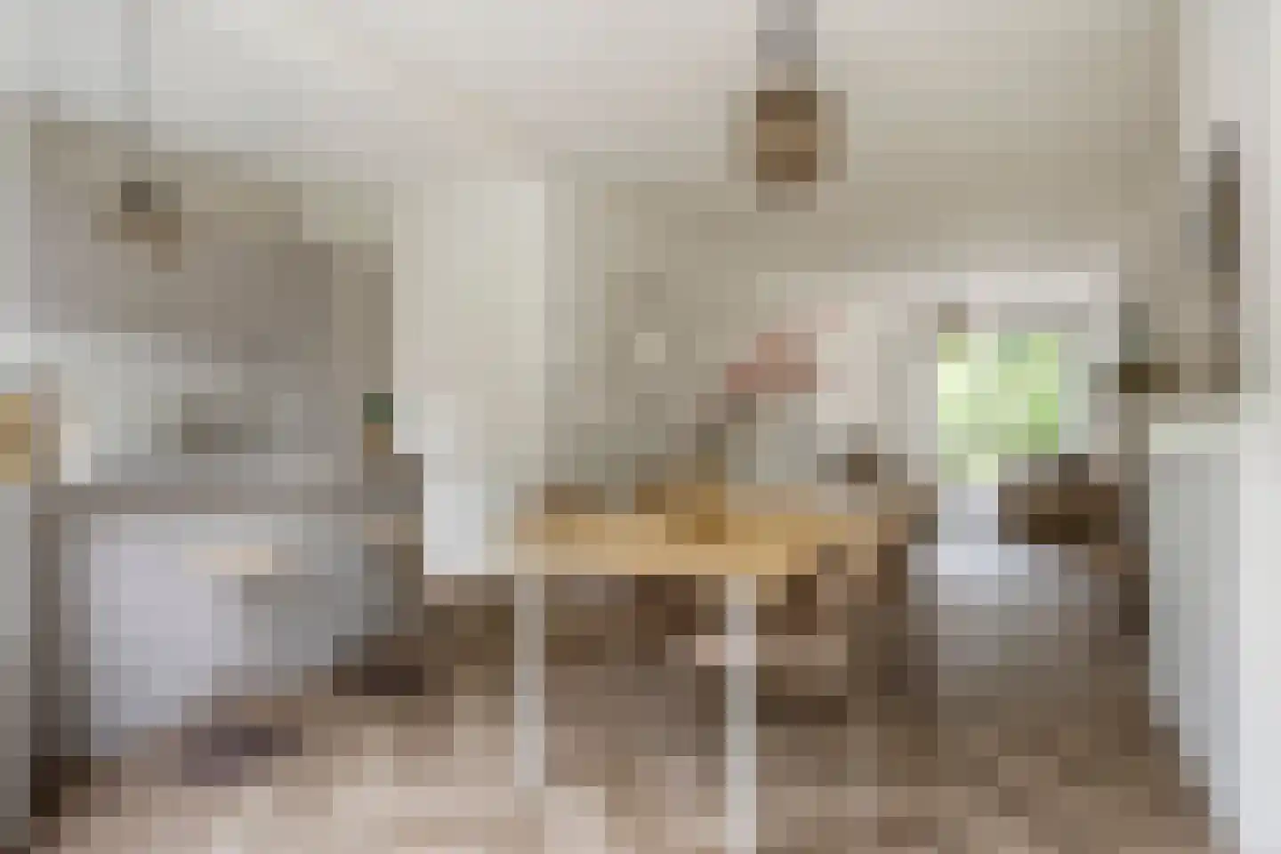 Da Costalaan 82 Rijswijk thumbnail 16