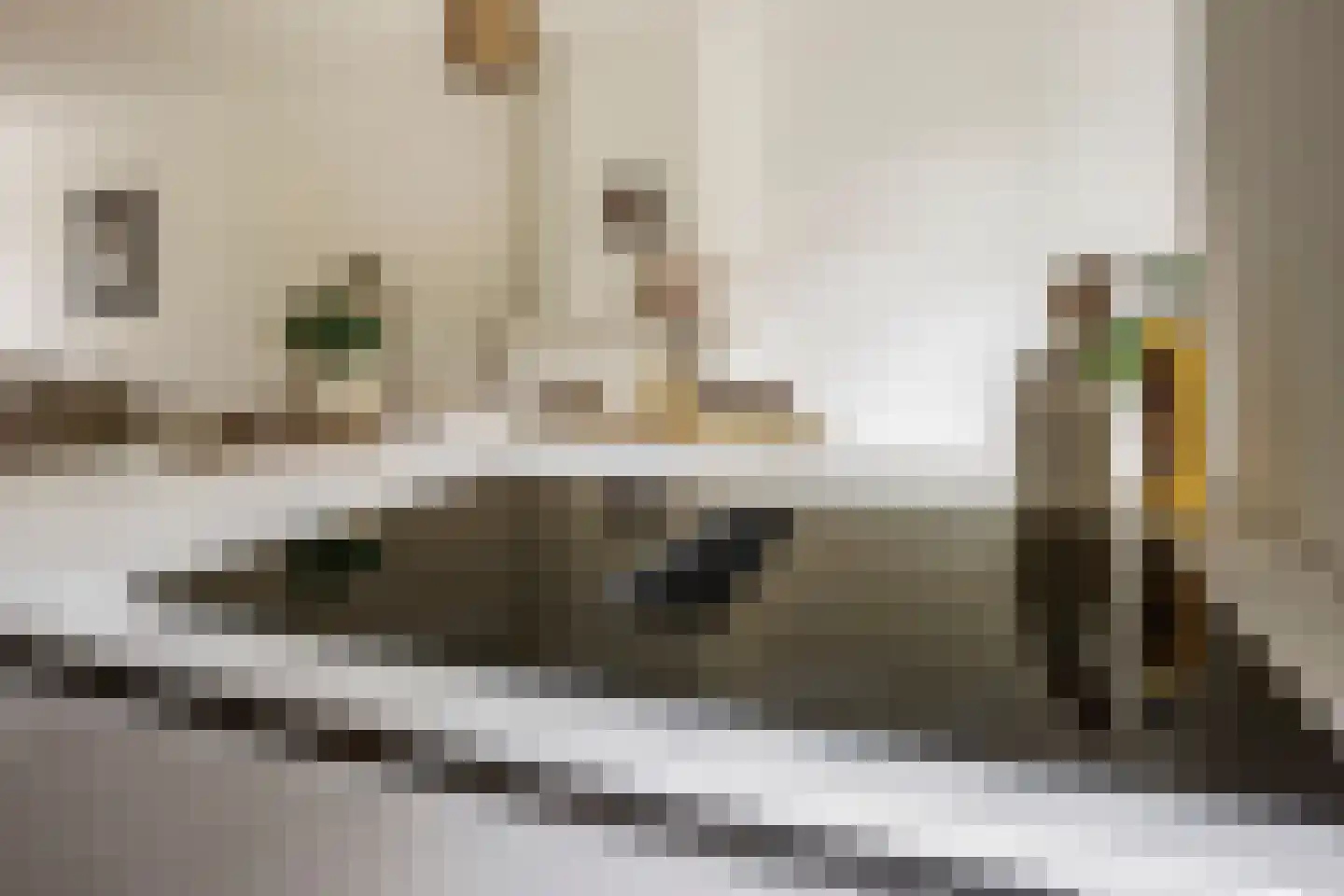 Da Costalaan 82 Rijswijk thumbnail 17