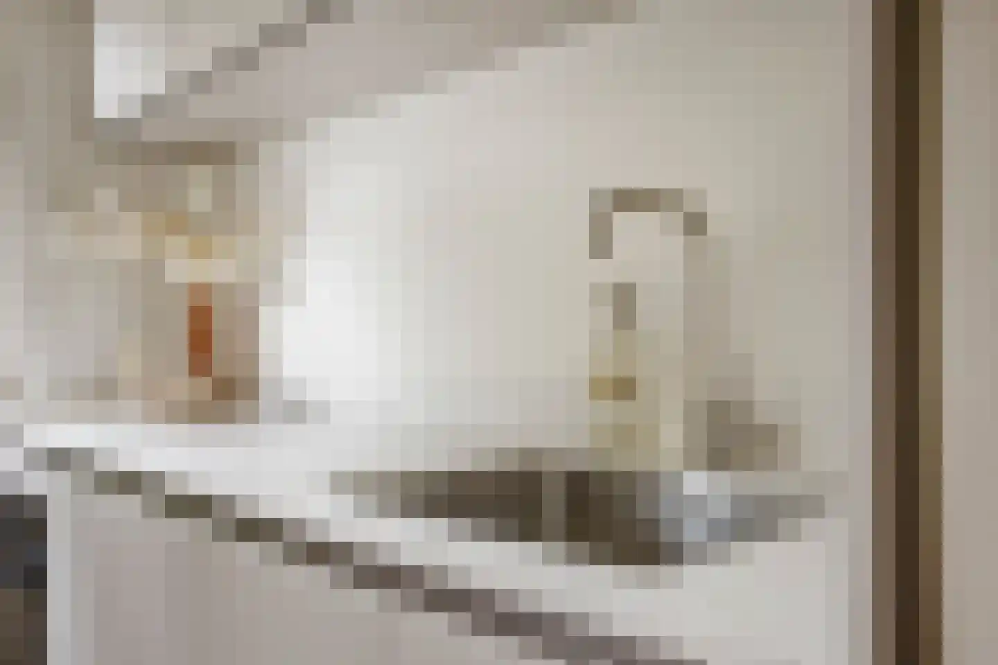 Da Costalaan 82 Rijswijk thumbnail 19