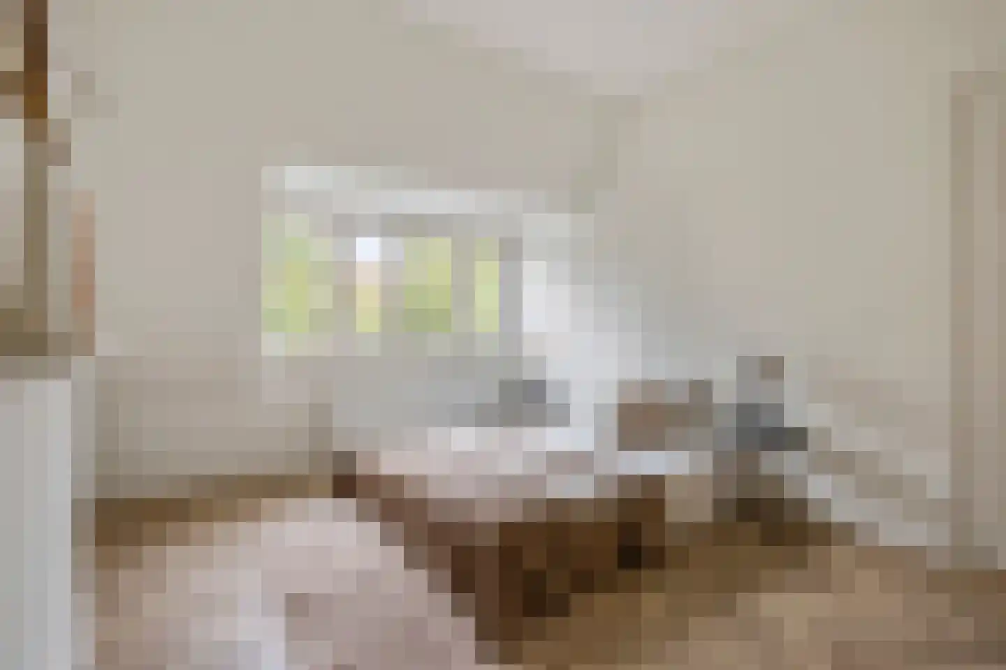 Da Costalaan 82 Rijswijk thumbnail 31