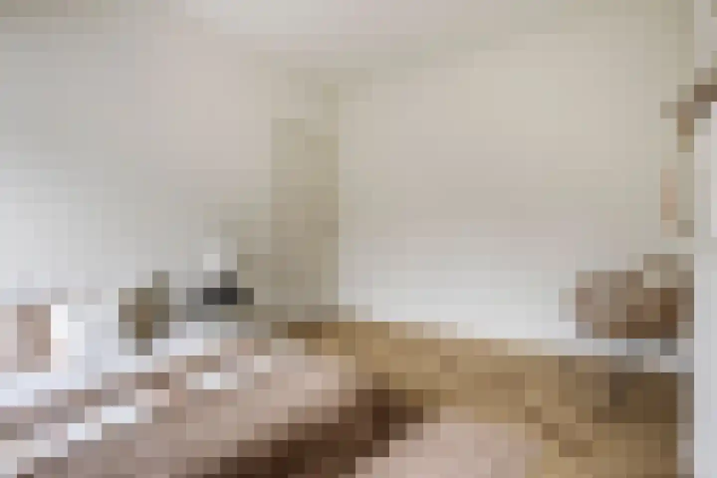 Da Costalaan 82 Rijswijk thumbnail 32