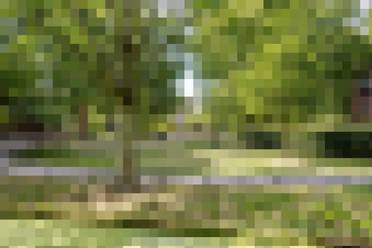 Da Costalaan 82 Rijswijk thumbnail 41