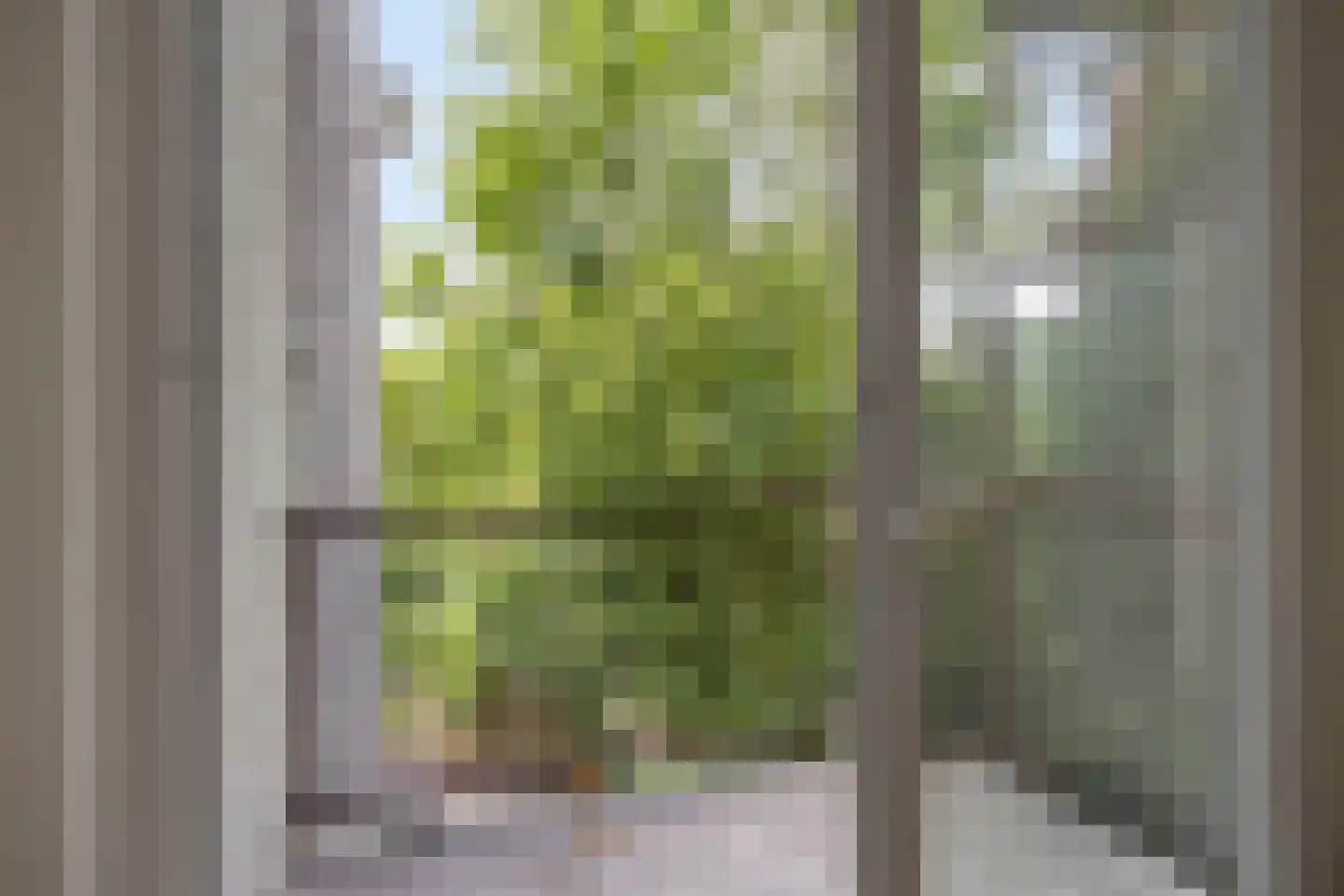 Da Costalaan 82 Rijswijk thumbnail 8