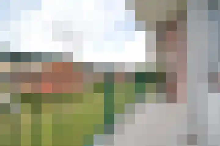 Da Costaplein 16 C Maassluis thumbnail 23