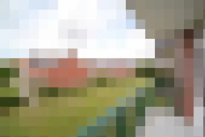 Da Costaplein 16 C Maassluis thumbnail 24