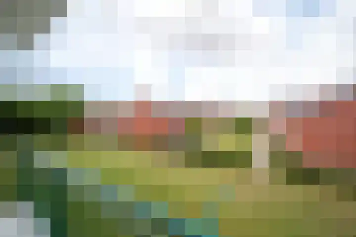 Da Costaplein 16 C Maassluis thumbnail 25