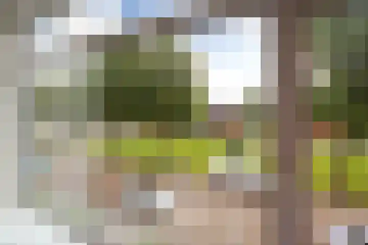 Da Costaplein 16 C Maassluis thumbnail 7
