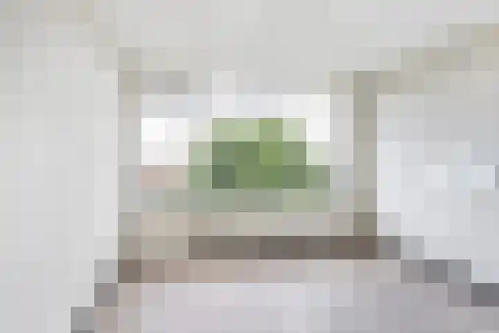 Da Costaplein 2 D Maassluis thumbnail 11