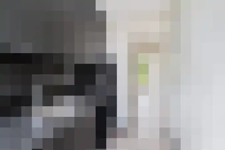 Da Costaplein 2 D Maassluis thumbnail 14