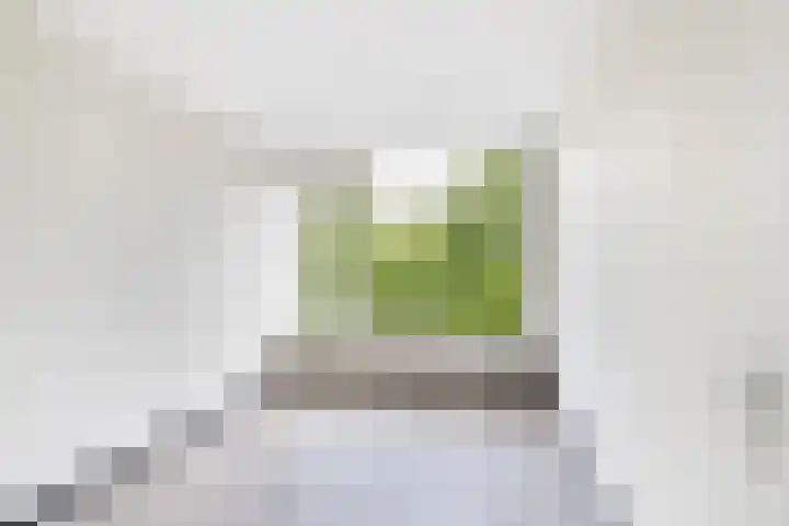 Da Costaplein 2 D Maassluis thumbnail 9