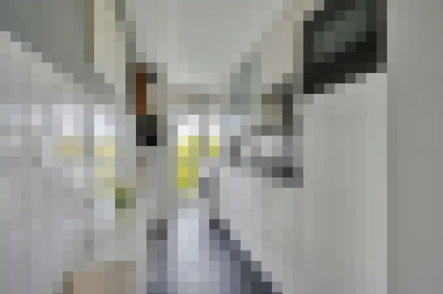 Da Costaplein 26 D Maassluis thumbnail 19
